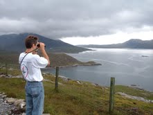 randy dettmers birding in scotland