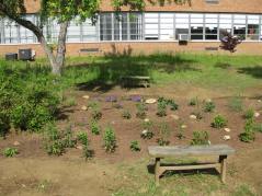 Our Chesapeake Bay Field Office has led Hillsmere Elementary School in Annapolis, Md., to transform their expansive schoolyard into a native plant habitat beneficial to pollinators over the past 5 years.