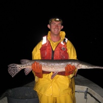 Longnose gar at the Maryland Fishery Resources Office.
