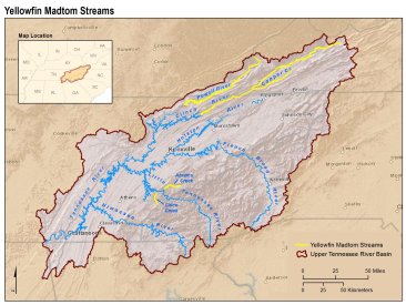 This map shows all the streams where yellowfin madtoms can be found. Created by Kurt Snider, USFWS.