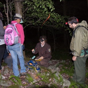 Service staff, volunteers from the local community and The Nature Conservancy during a a night survey to capture Cheat Mountain salamanders. The data is used to determine the population on the refuge. Credit: Kent Mason