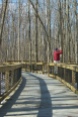 Bird watching is a popular activity on Swallow Hollow Nature Trail at Iroquois National Wildlife Refuge.