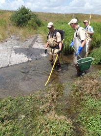 Surveying the stream! Credit: USFWS