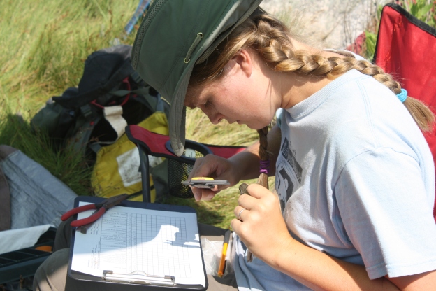 Research Specialist Christina Cerino measures a captured bird for the SHARP survey. Credit: Charlotte Murtishaw/USFWS