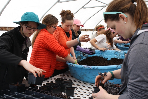 Each student works diligently; transplanting seedlings, mixing soil, working together to help strengthen coastal Maine.