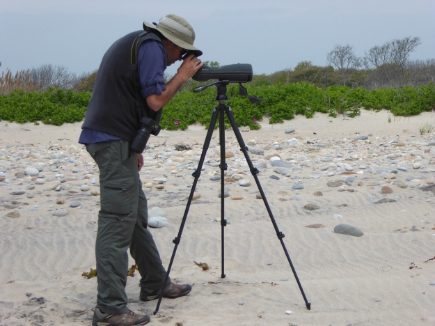 Pablo gazes through the spotting scope at shorebirds on the Rhode Island coast.