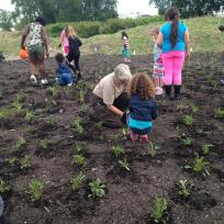 Local Daisy Girl Scouts and Biologist, Betsy Trometer help pollinators by restoring habitat at Silo City in Buffalo, New York.