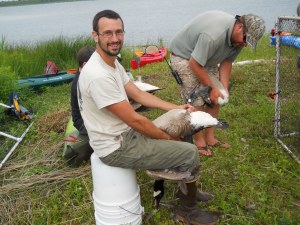 Today's blog post comes from Jordon Tourville, an intern with USFWS at the Rhode Island National Wildlife Refuge Complex. He is interested in invasive plant management and policy as well as hiking around New England.     
