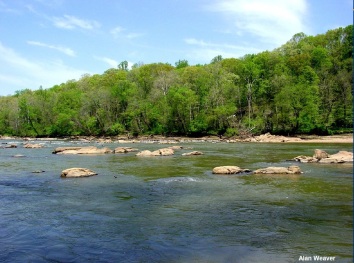 The Rappahanock River flows freely after being dammed for nearly 100 years. Credit: Alan Weaver, VDGIF