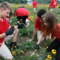 Students adding some diversity to their meadow at Shue-Medil Middle School, Credit: Rick Mckowski