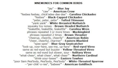 Mnemonics of common birds, screen capture provided by fernbank.edu