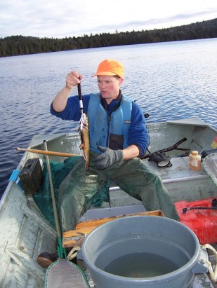 Frank Frost surveying for wild spawned charr and coming up successful. Credit: Maine DIFW